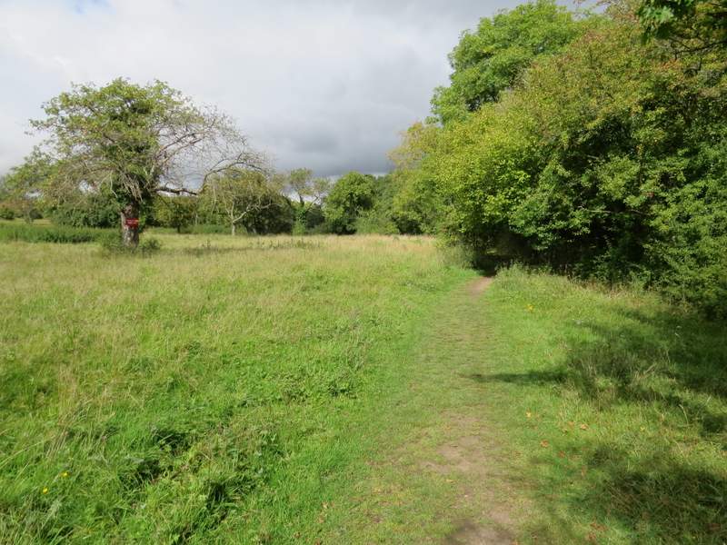 Pete's Walks Chalfont St Peter and Chenies (page 1 of 3)